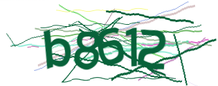 Enter the character string shown in the picture
