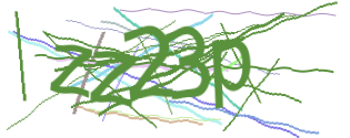 Enter the character string shown in the picture