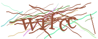 Enter the character string shown in the picture