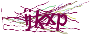 Enter the character string shown in the picture