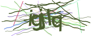 Enter the character string shown in the picture