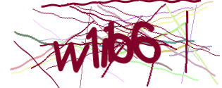 Enter the character string shown in the picture