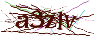 Enter the character string shown in the picture