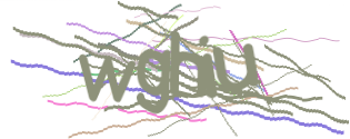 Enter the character string shown in the picture