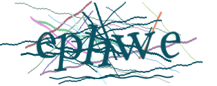 Enter the character string shown in the picture
