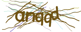 Enter the character string shown in the picture