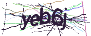Enter the character string shown in the picture
