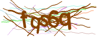Enter the character string shown in the picture