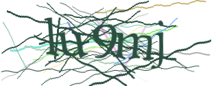 Enter the character string shown in the picture