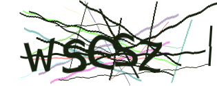 Enter the character string shown in the picture