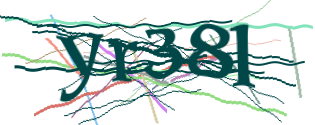 Enter the character string shown in the picture