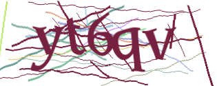 Enter the character string shown in the picture