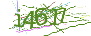 Enter the character string shown in the picture