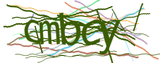 Enter the character string shown in the picture