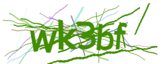Enter the character string shown in the picture