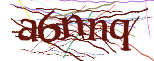 Enter the character string shown in the picture