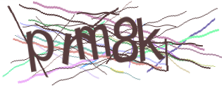 Enter the character string shown in the picture