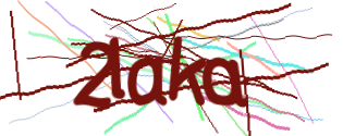 Enter the character string shown in the picture