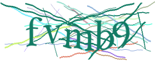 Enter the character string shown in the picture