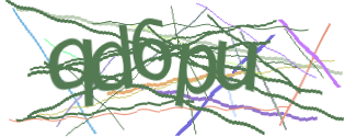 Enter the character string shown in the picture