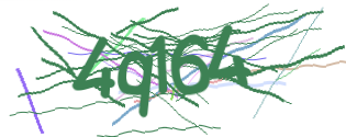 Enter the character string shown in the picture