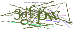 Enter the character string shown in the picture