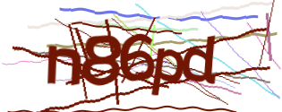 Enter the character string shown in the picture
