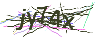 Enter the character string shown in the picture