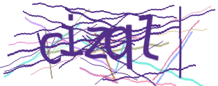Enter the character string shown in the picture