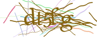 Enter the character string shown in the picture
