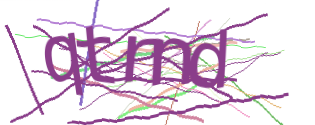 Enter the character string shown in the picture
