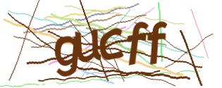 Enter the character string shown in the picture