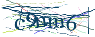 Enter the character string shown in the picture