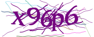 Enter the character string shown in the picture