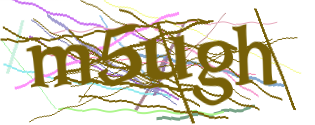 Enter the character string shown in the picture