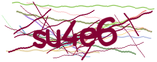 Enter the character string shown in the picture