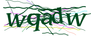 Enter the character string shown in the picture