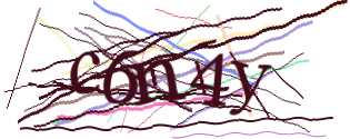 Enter the character string shown in the picture