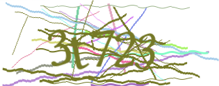 Enter the character string shown in the picture