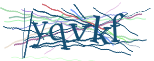 Enter the character string shown in the picture