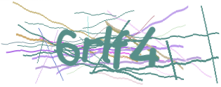 Enter the character string shown in the picture