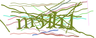 Enter the character string shown in the picture