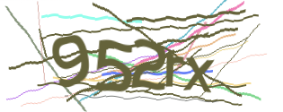Enter the character string shown in the picture