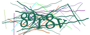 Enter the character string shown in the picture