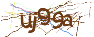 Enter the character string shown in the picture