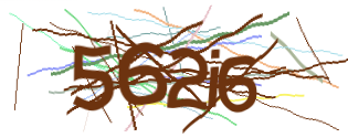Enter the character string shown in the picture