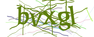 Enter the character string shown in the picture