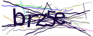 Enter the character string shown in the picture