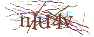 Enter the character string shown in the picture