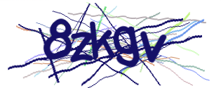 Enter the character string shown in the picture